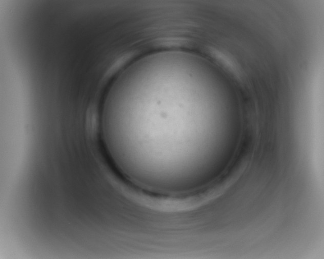 X0000113900016200910011352