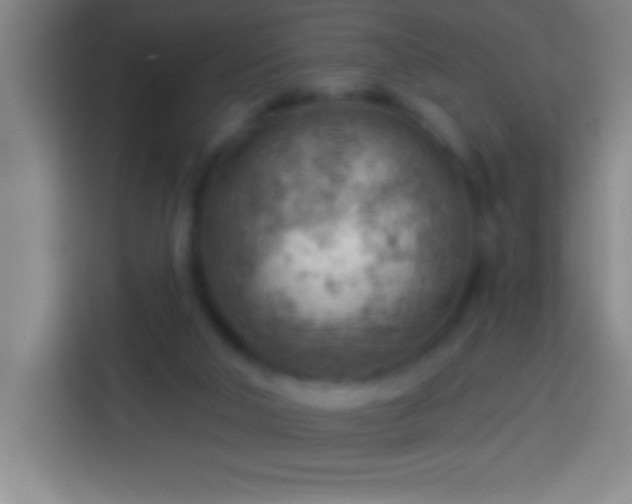 X0000113900018200910011352