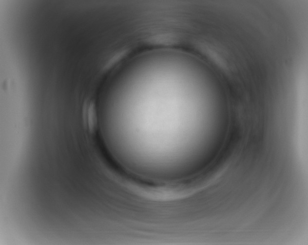 X0000113900020200910011352