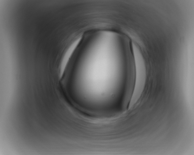 X0000113900021200910011352