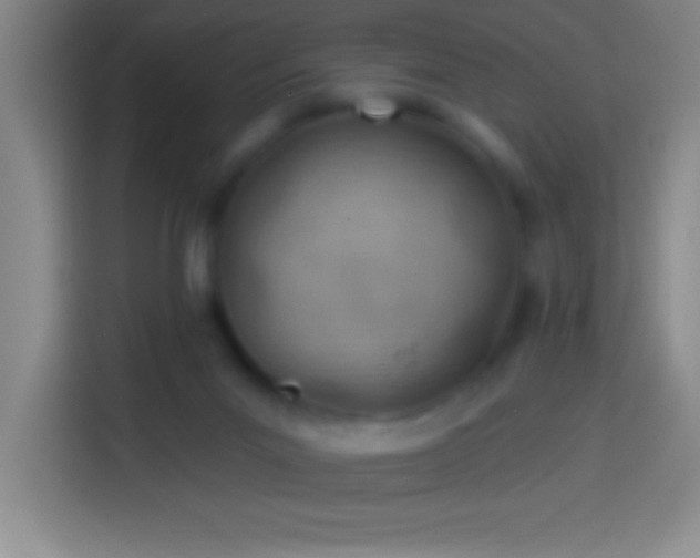 X0000113900023200910011352