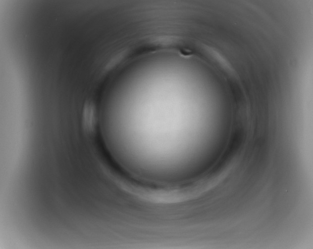 X0000113900024200910011352