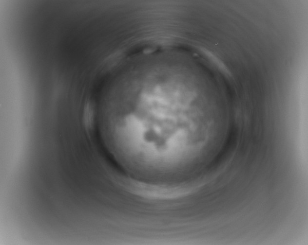 X0000113900026200910011352