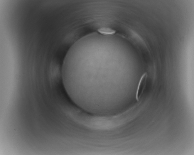 X0000113900029200910011351