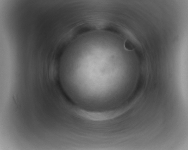 X0000113900030200910011351