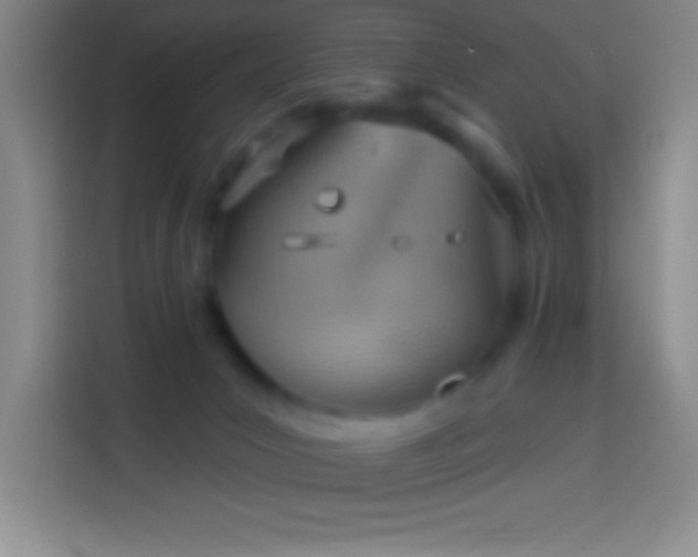 X0000113900031200910011351