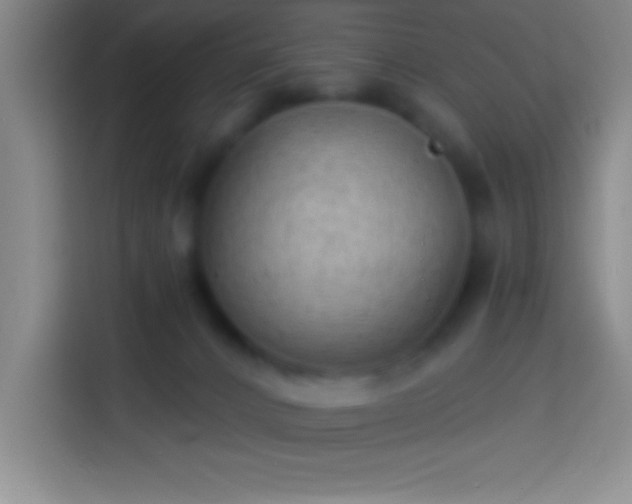 X0000113900032200910011351