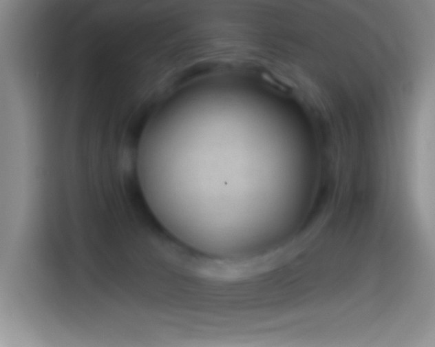 X0000113900033200910011351