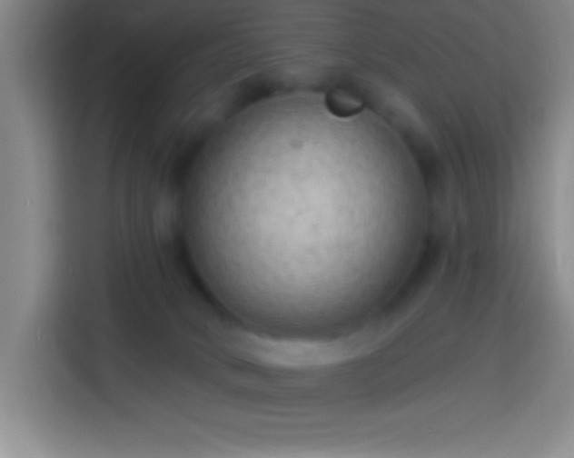 X0000113900034200910011351