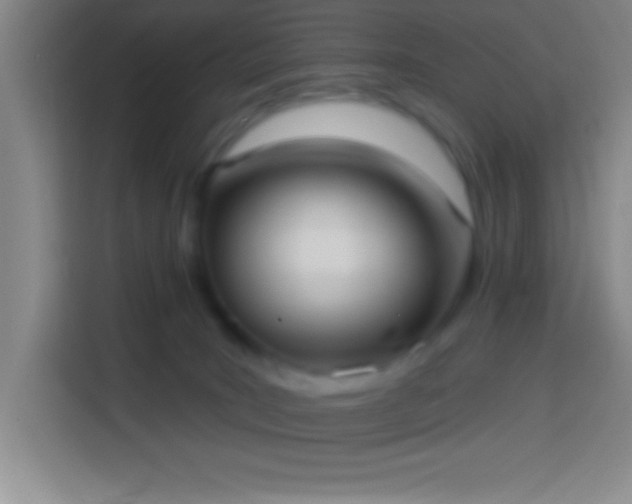 X0000113900035200910011351