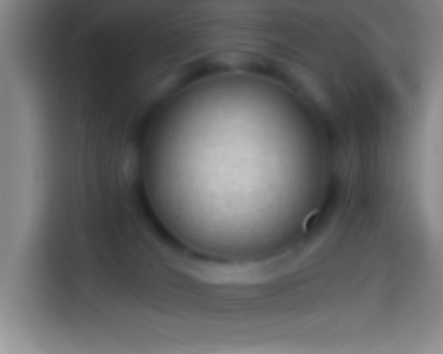 X0000113900036200910011351