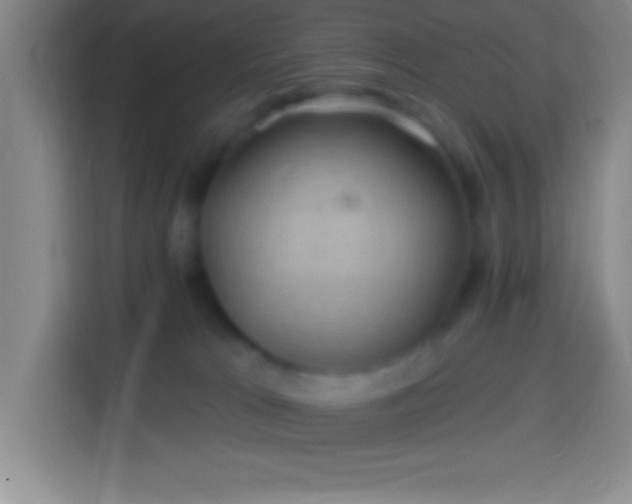 X0000113900037200910011351