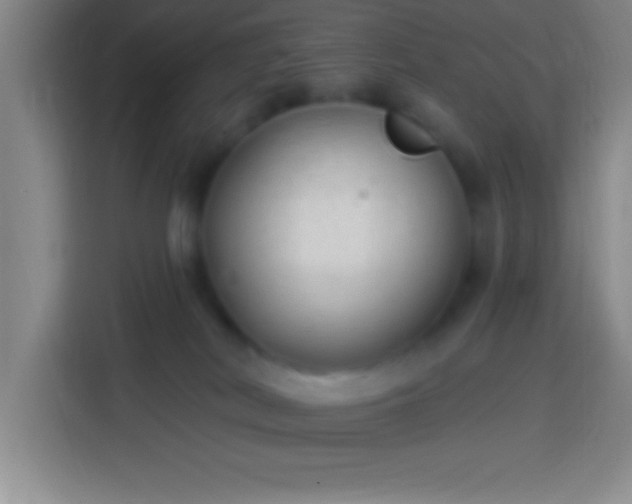 X0000113900038200910011351