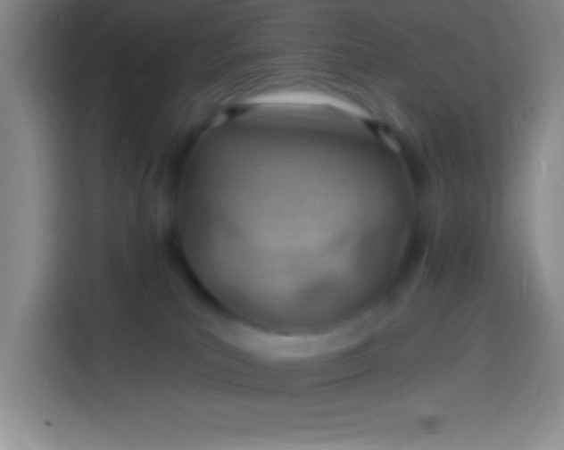 X0000113900039200910011351