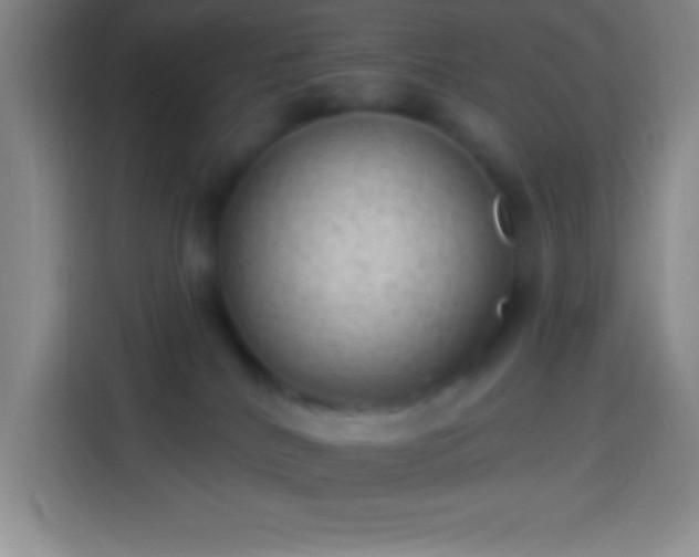 X0000113900040200910011351