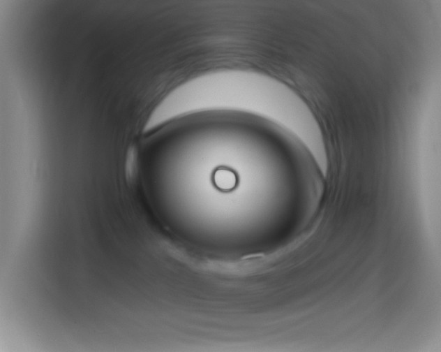 X0000113900041200910011351