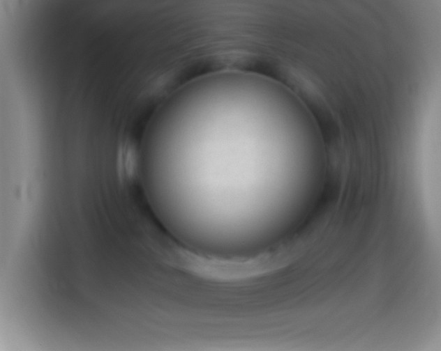 X0000113900042200910011351