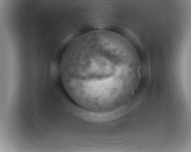 X0000113900043200910011351