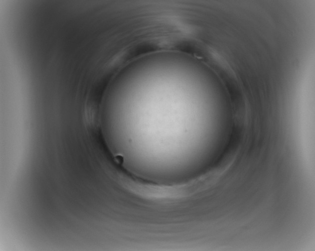 X0000113900044200910011351