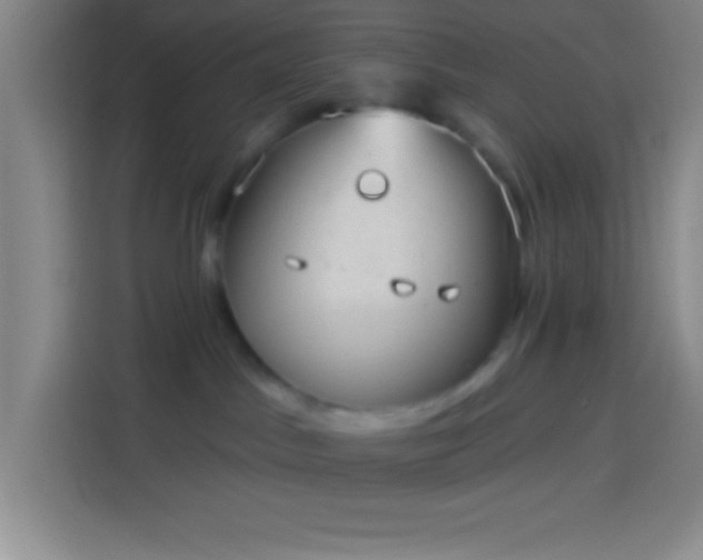 X0000113900045200910011351