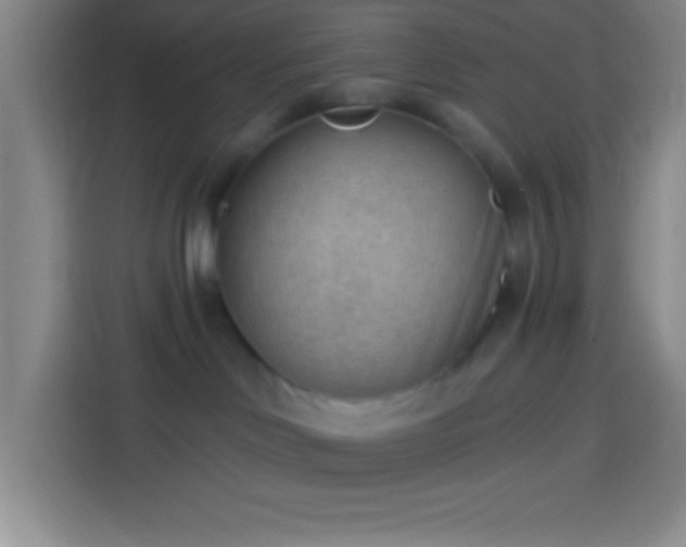 X0000113900046200910011351