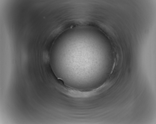 X0000113900048200910011351