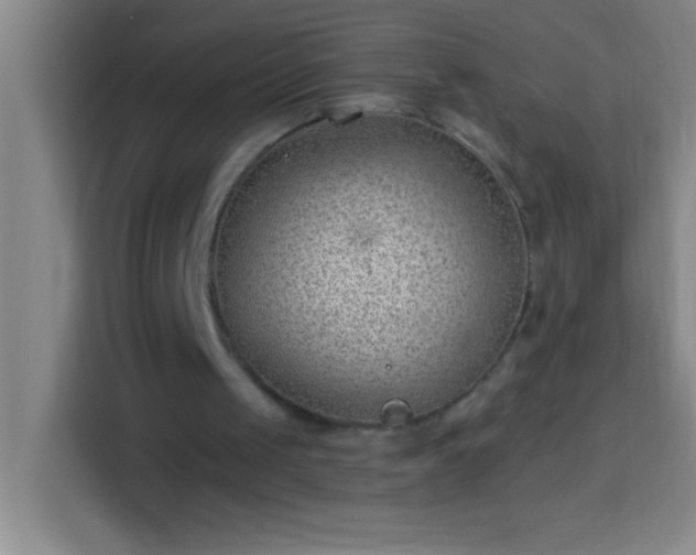 X0000113900049200910011351