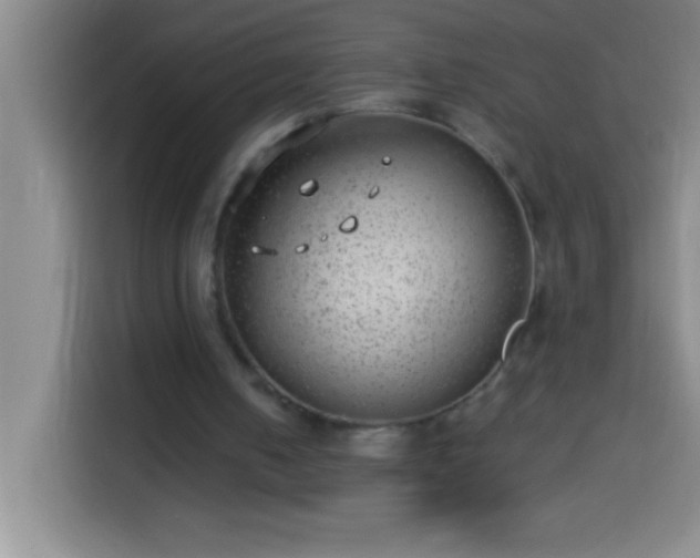 X0000113900050200910011351