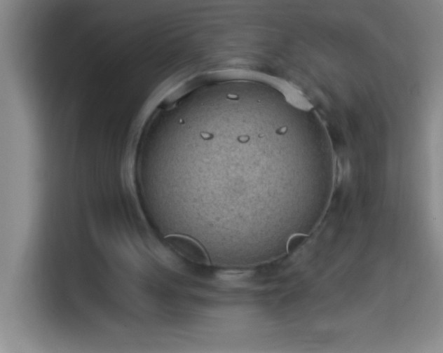 X0000113900051200910011351