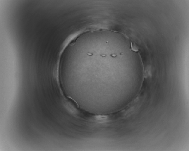 X0000113900052200910011351