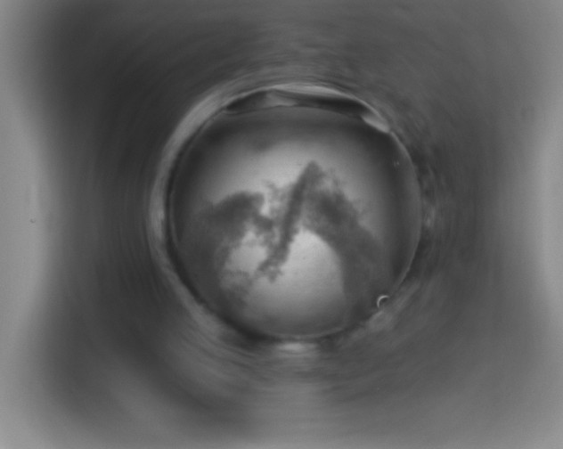 X0000113900053200910011351