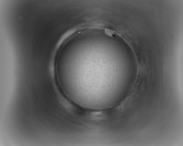 X0000113900054200910011351