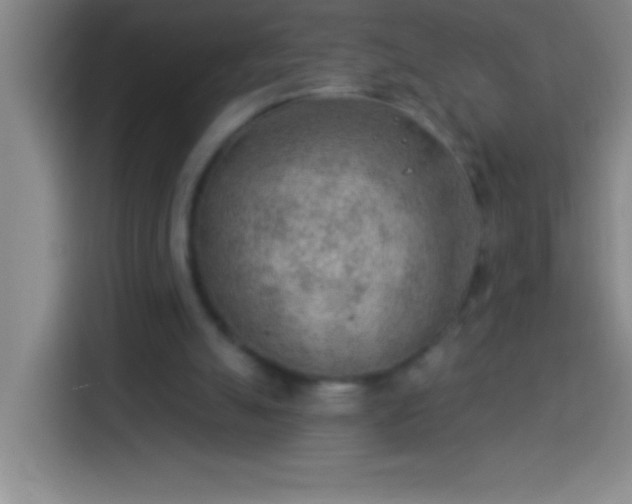 X0000113900055200910011351