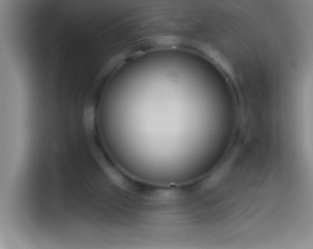 X0000113900057200910011351