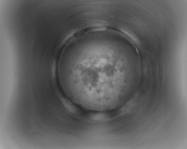 X0000113900058200910011351