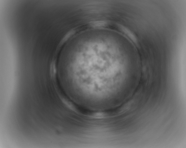 X0000113900059200910011351