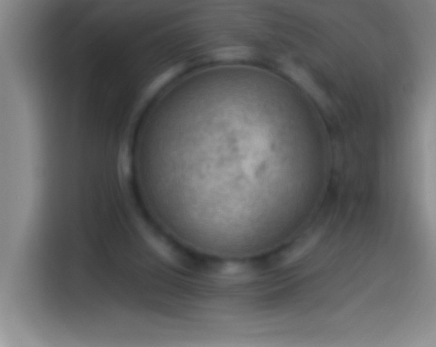 X0000113900060200910011351