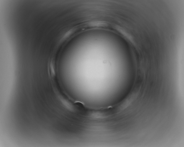 X0000113900062200910011351