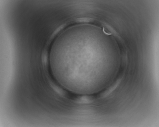 X0000113900064200910011351