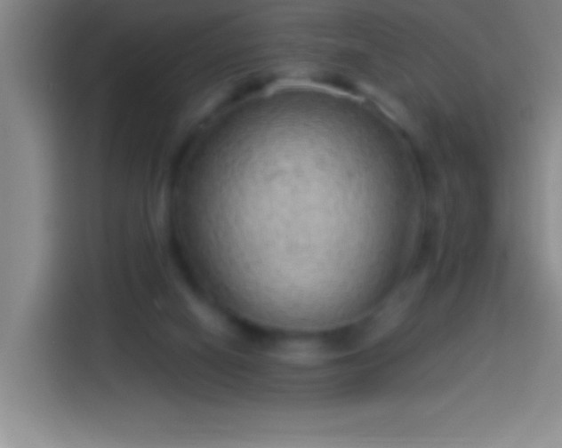 X0000113900066200910011351