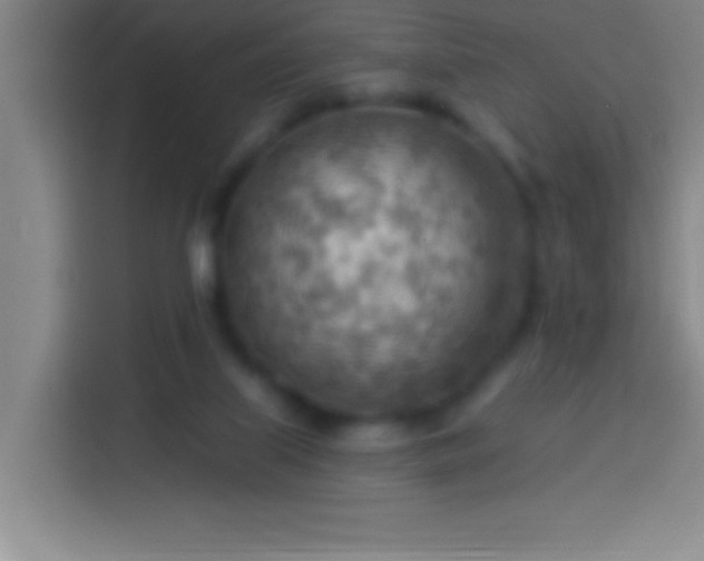 X0000113900067200910011351