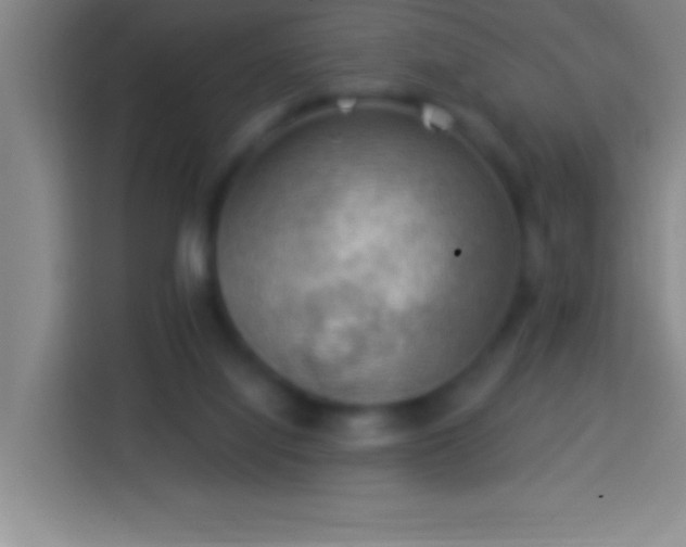 X0000113900068200910011351