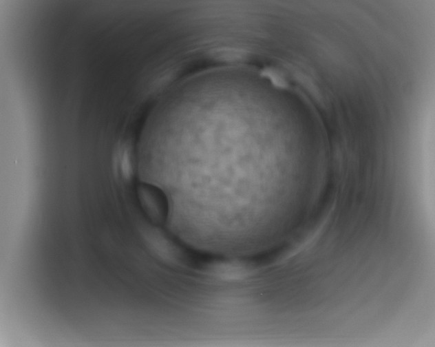 X0000113900069200910011351