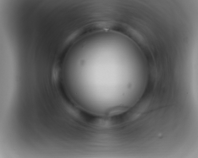 X0000113900071200910011351