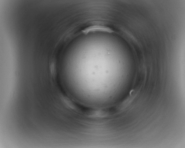 X0000113900074200910011351