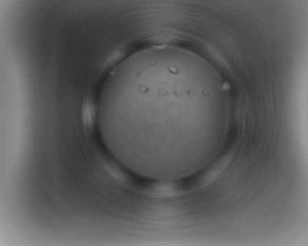 X0000113900076200910011351