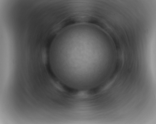 X0000113900080200910011351