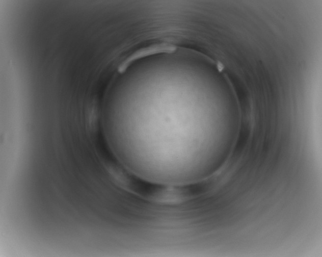 X0000113900082200910011351