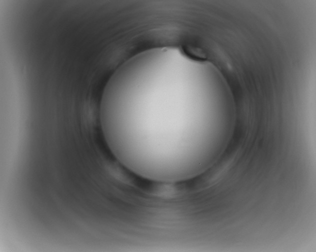 X0000113900083200910011351