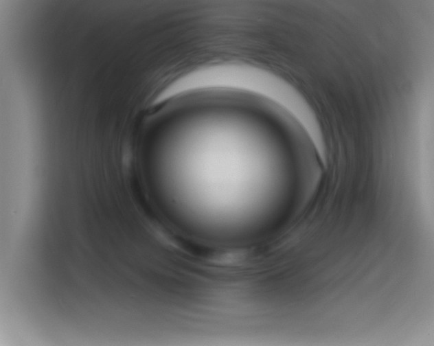 X0000113900084200910011351